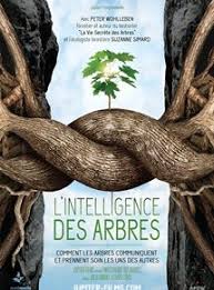 L'intelligence des arbres avec un débat avec l'association ACCOB d'Oloron Ste Marie