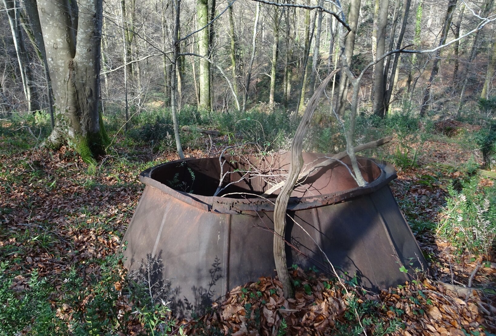 Exposition four à charbon en forêt du Bager