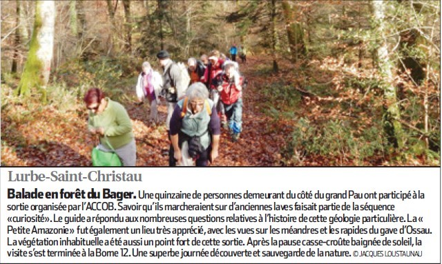 Randonnée en forêt du Bager d'Oloron pour un groupe de marcheurs de Pau