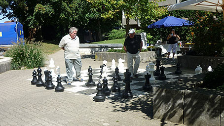 Photo Gartenschach im Pelikan Park 2009