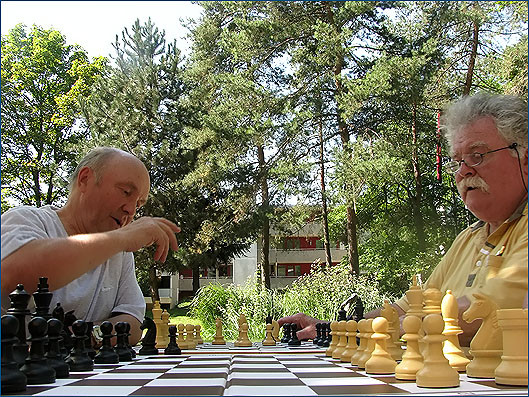 Photo Freizeit-Schach im Pelikan Park 2010