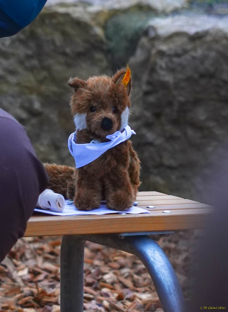 ... und das noch namenlose Maskottchen