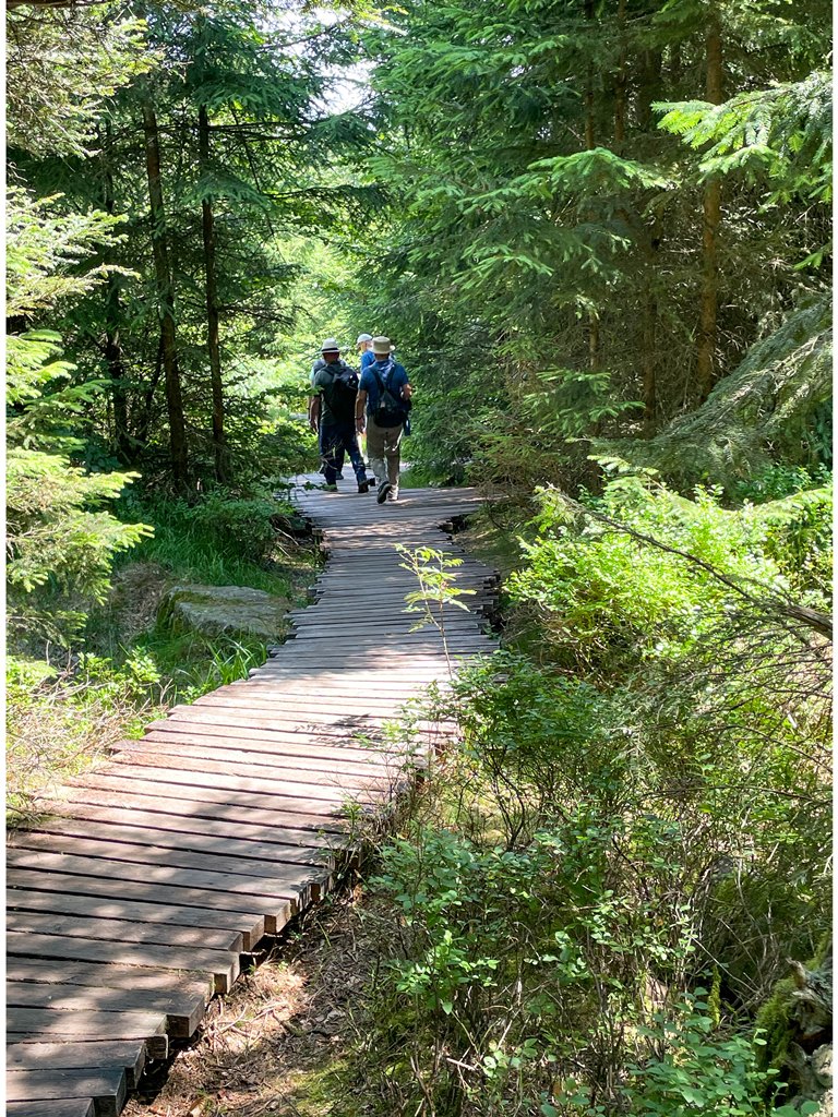 Der 800 Meter lange Lotharpfad