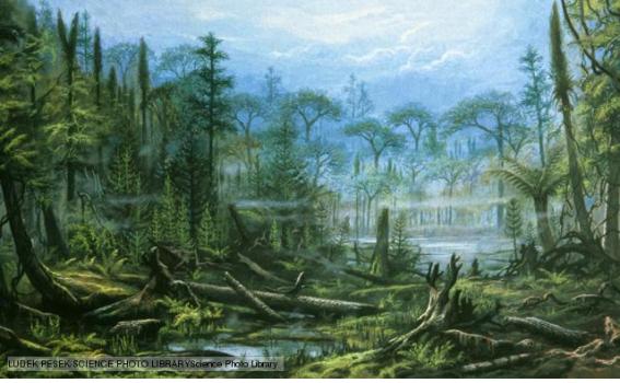 Bärlapp-, Farn- und Schachtelhalm-Wälder zur Karbon-Zeit        (Quelle: http://www.bbc.co.uk/nature/history_of_the_earth/Carboniferous)