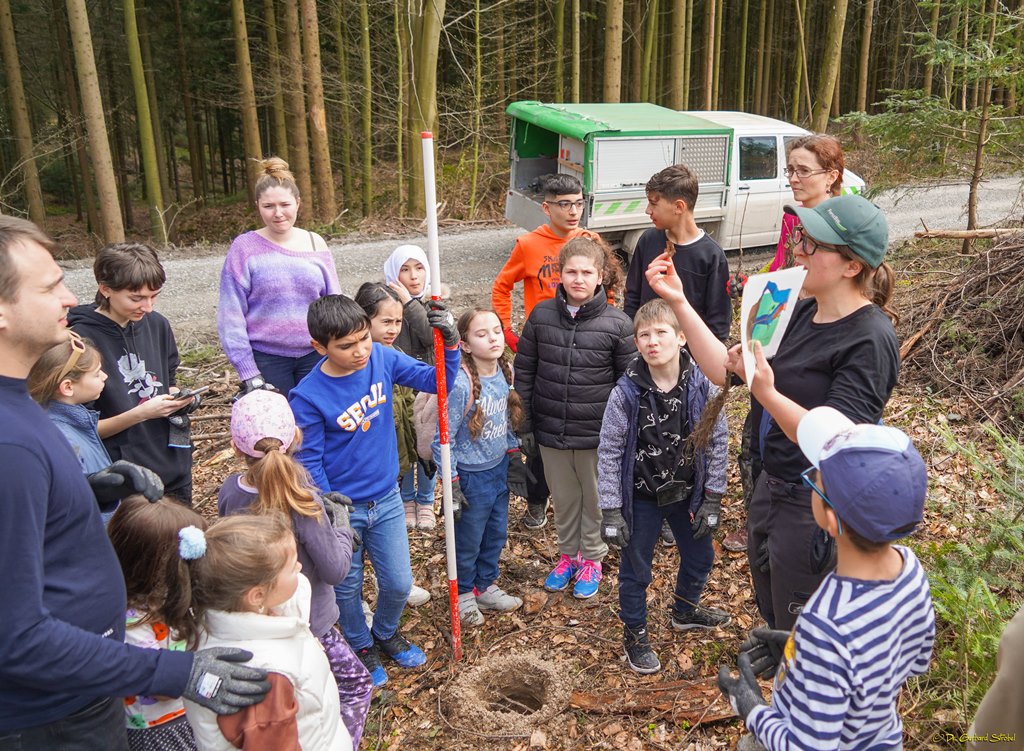 Nora Walbrun erklärt am Schaubild