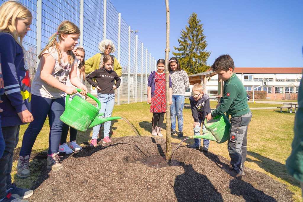 Der Bienenbaum passt "wie angegossen"
