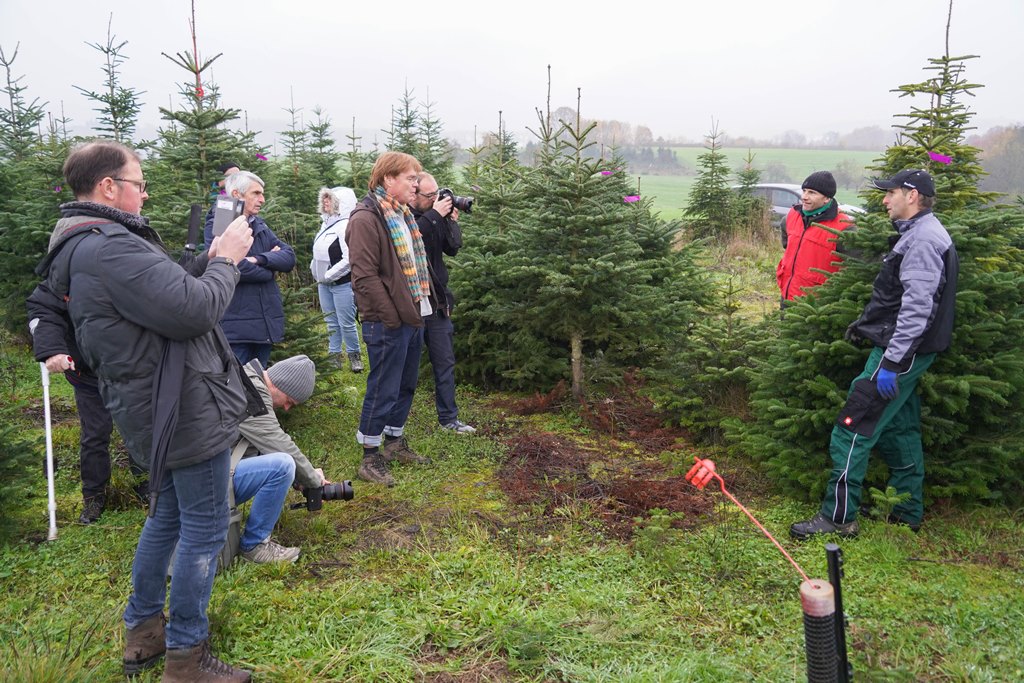 Erklärungen mitten aus der Weihnachtsbaum-Kultur