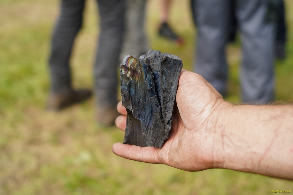 Ein besonders schönes Stück "Holz-Diamant"