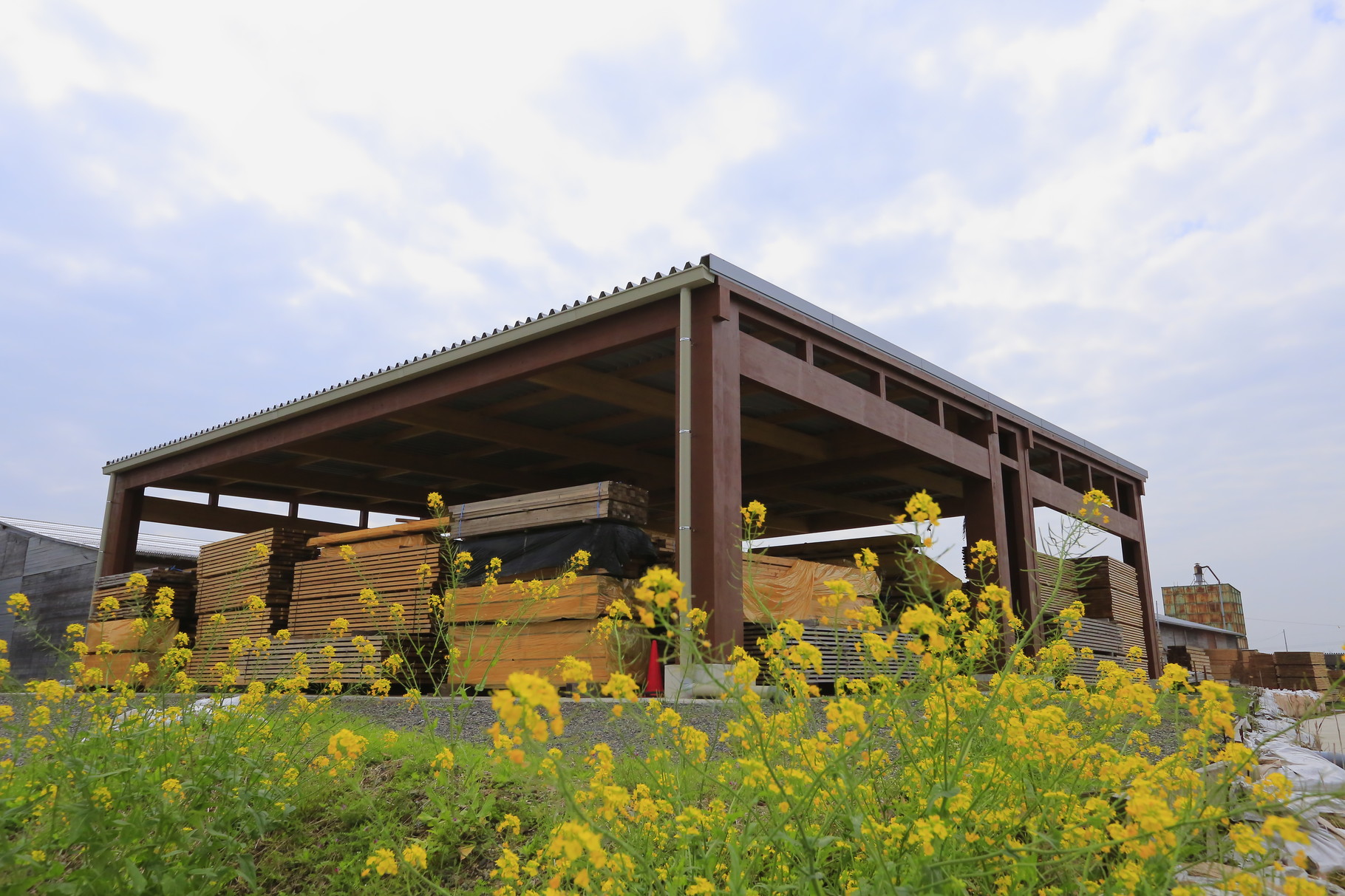 塗装が施されたSAMURAI建屋と菜の花（山佐木材）