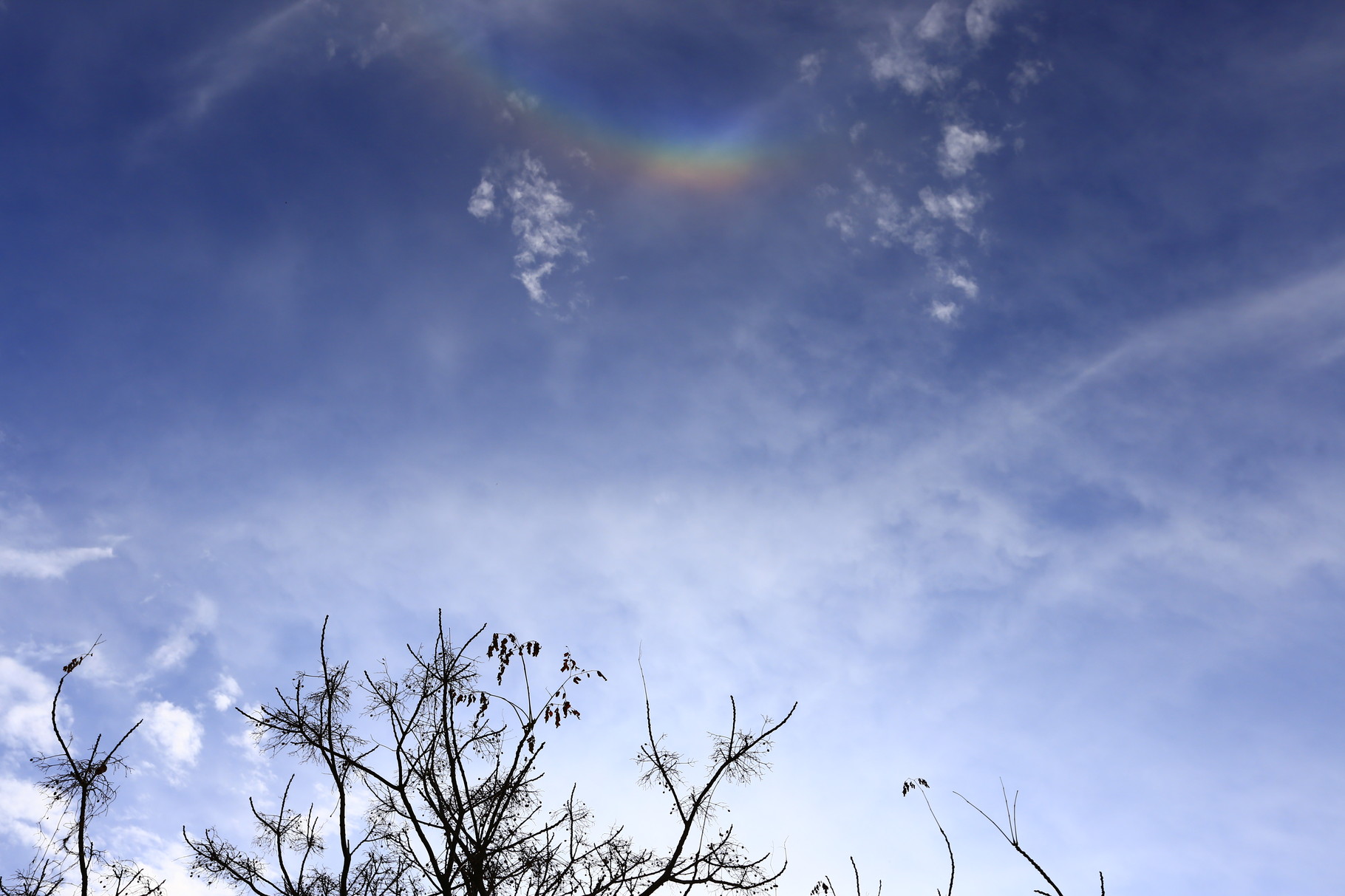 珍しい自然現象、「逆さ虹（環天頂アーク）」。（きもつき木材高次加工センター）