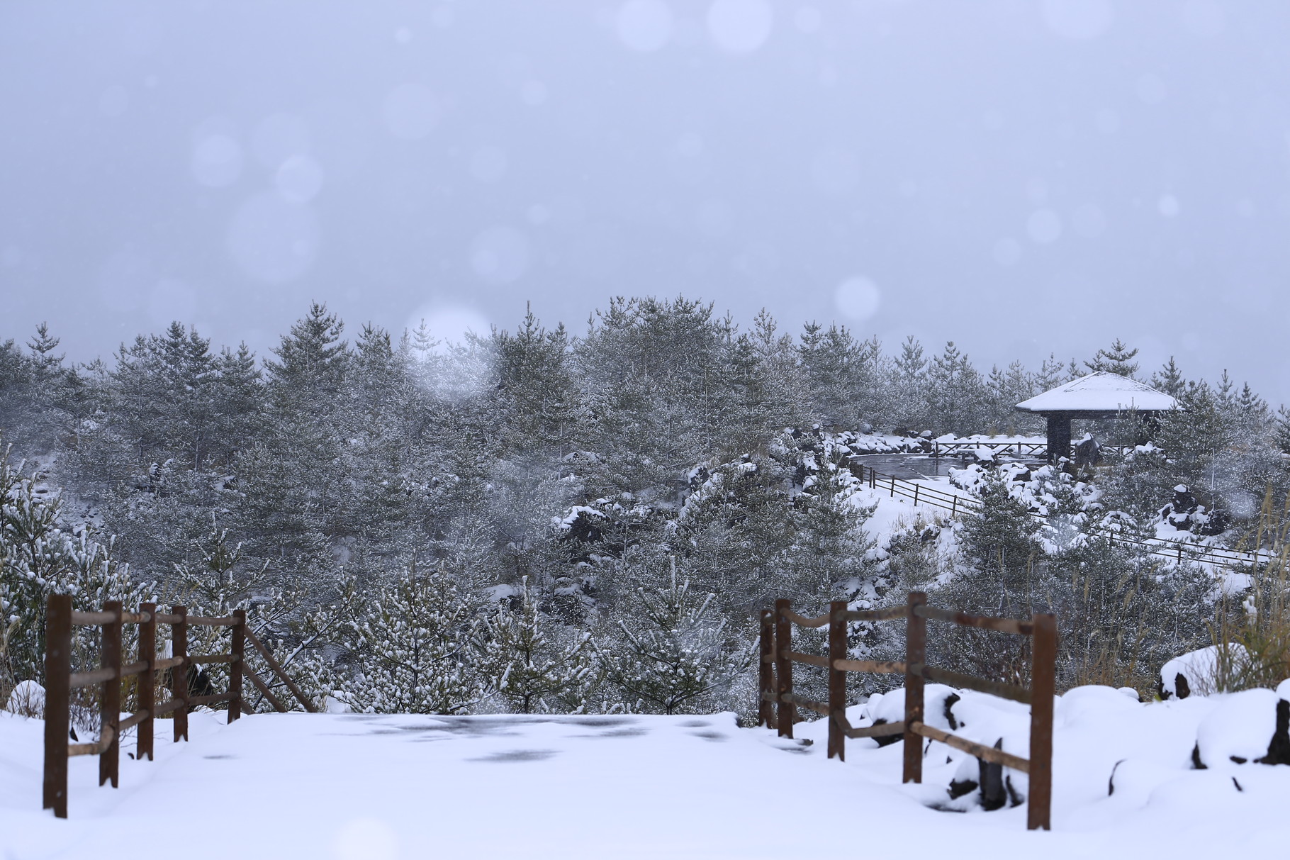 雪景色の有村溶岩展望所