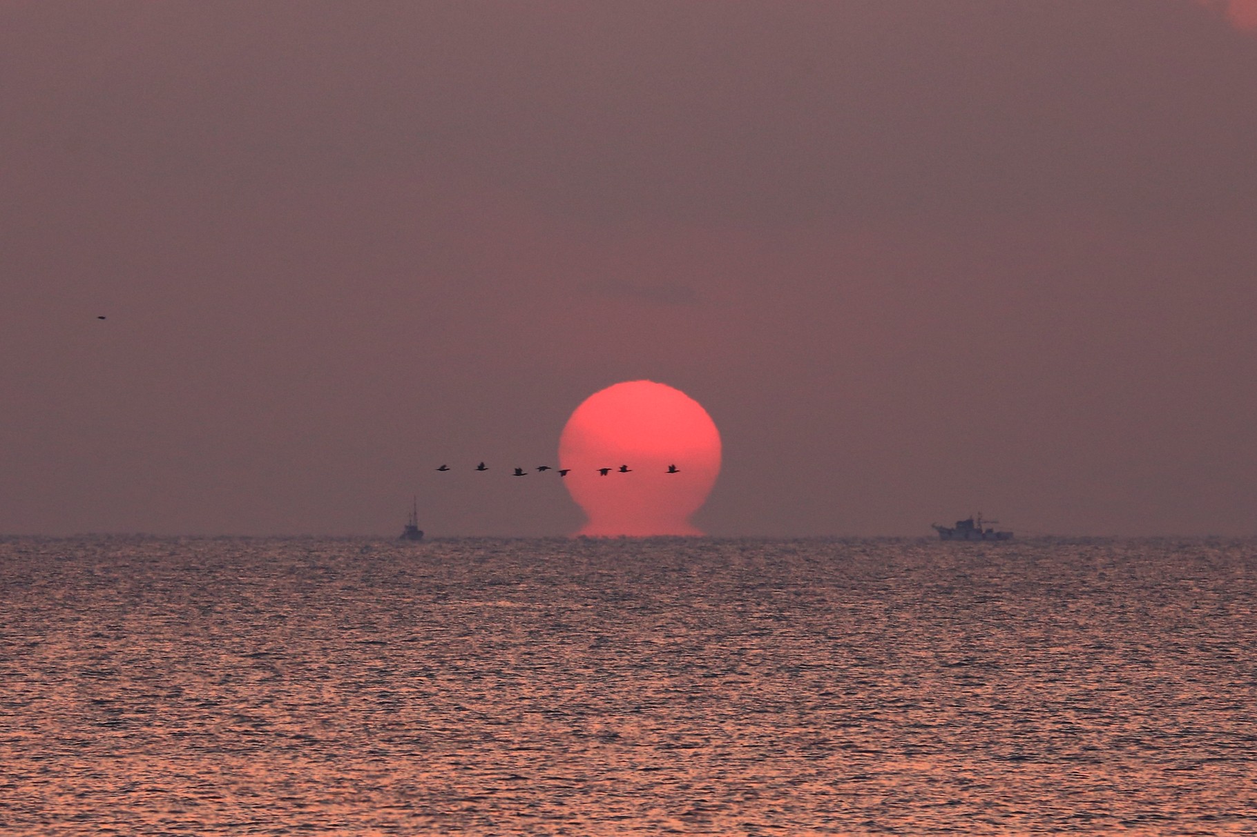 日の出を背に、鳥の群れと海にたたずむ漁船。（柏原海岸）