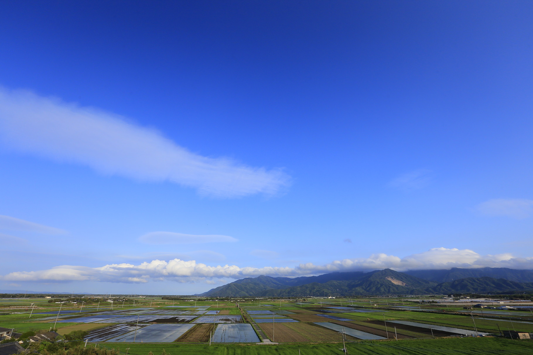 田園風景。国見山を背に今年も田植えの準備が始まる（鹿屋市串良町）