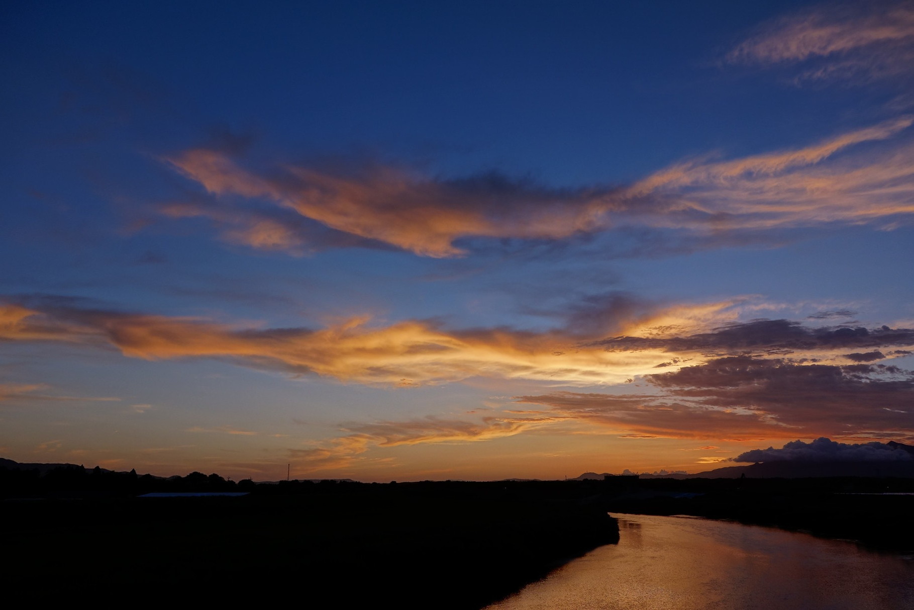 夕空の雲。見つめていると、何かのカタチに見えて来ませんか？（鳳凰のような雲）