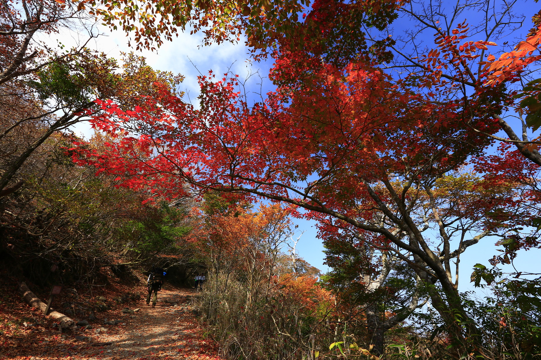 色づきだした山の木々（10月下旬）