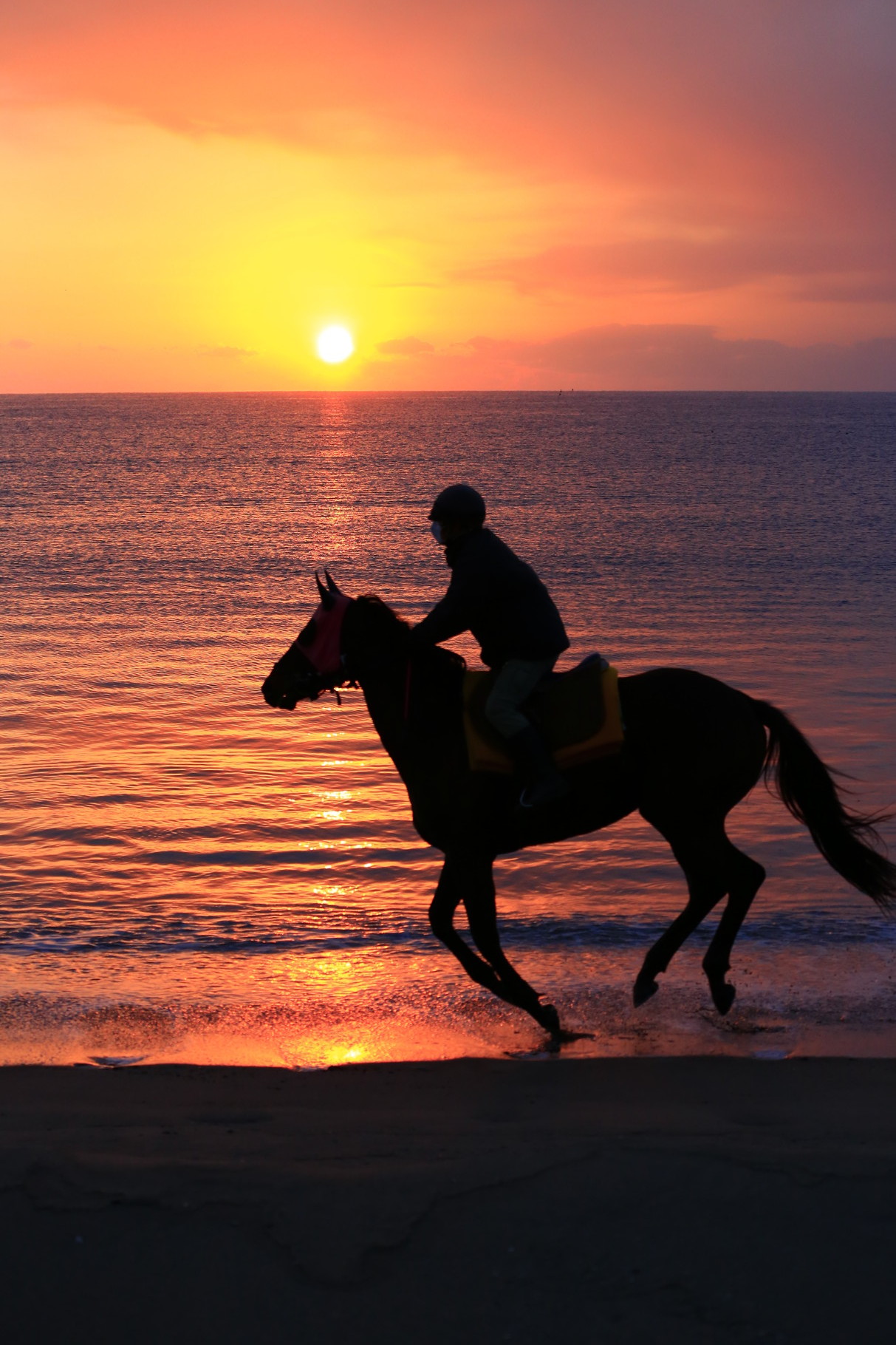 日の出の中を駆ける馬は芸術的（鹿児島県東串良町柏原海岸）