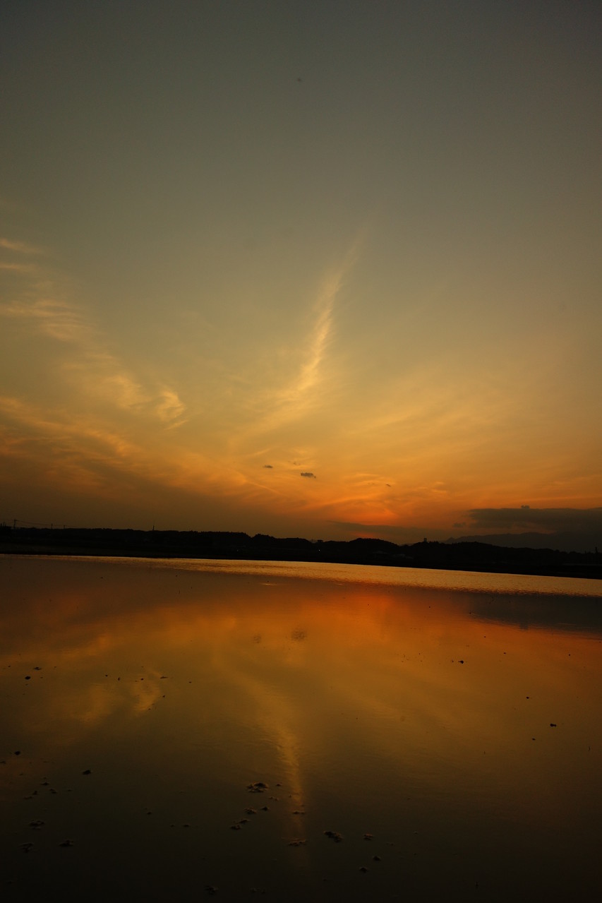 田園の水面に顔をのぞかせた　もう一つの夕焼け