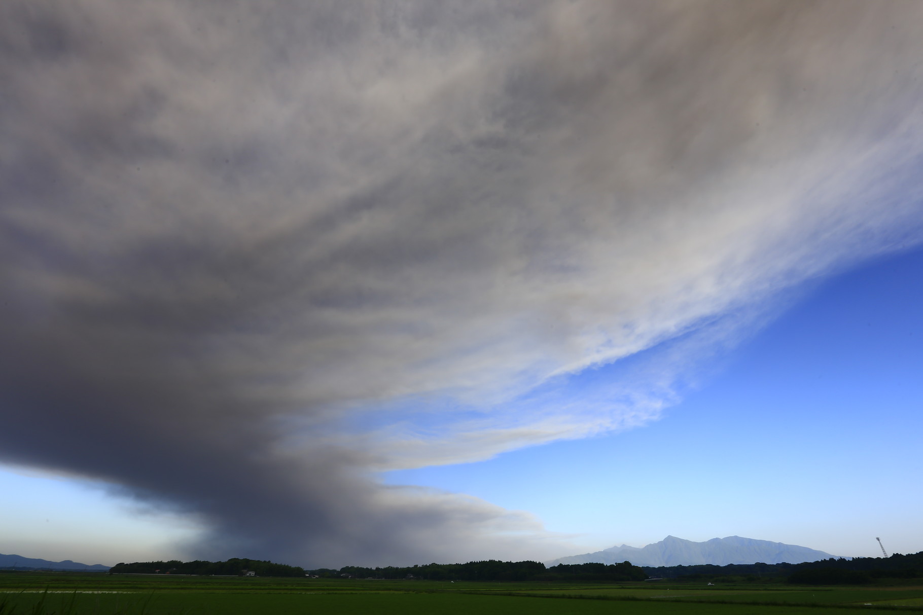 迫る桜島の噴煙。一見すると雲のようですが灰なのです（加工センター駐車場）