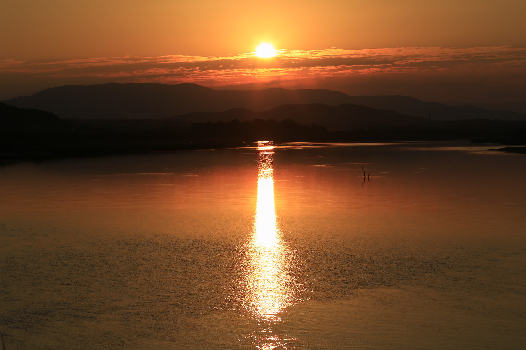 第二有明橋から眺める夕陽