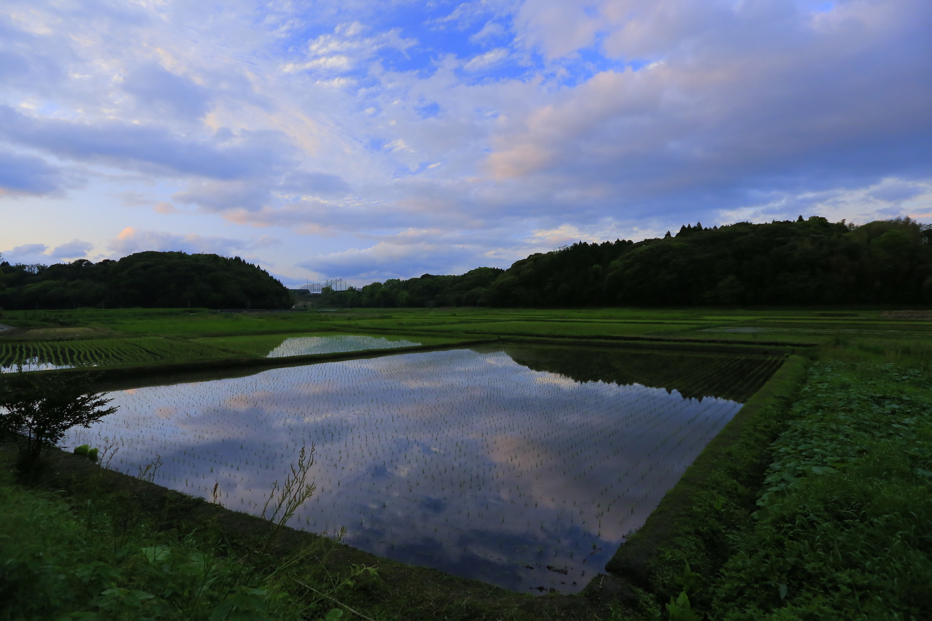 夕空を魅せる田んぼ（鹿屋市吾平川東周辺）