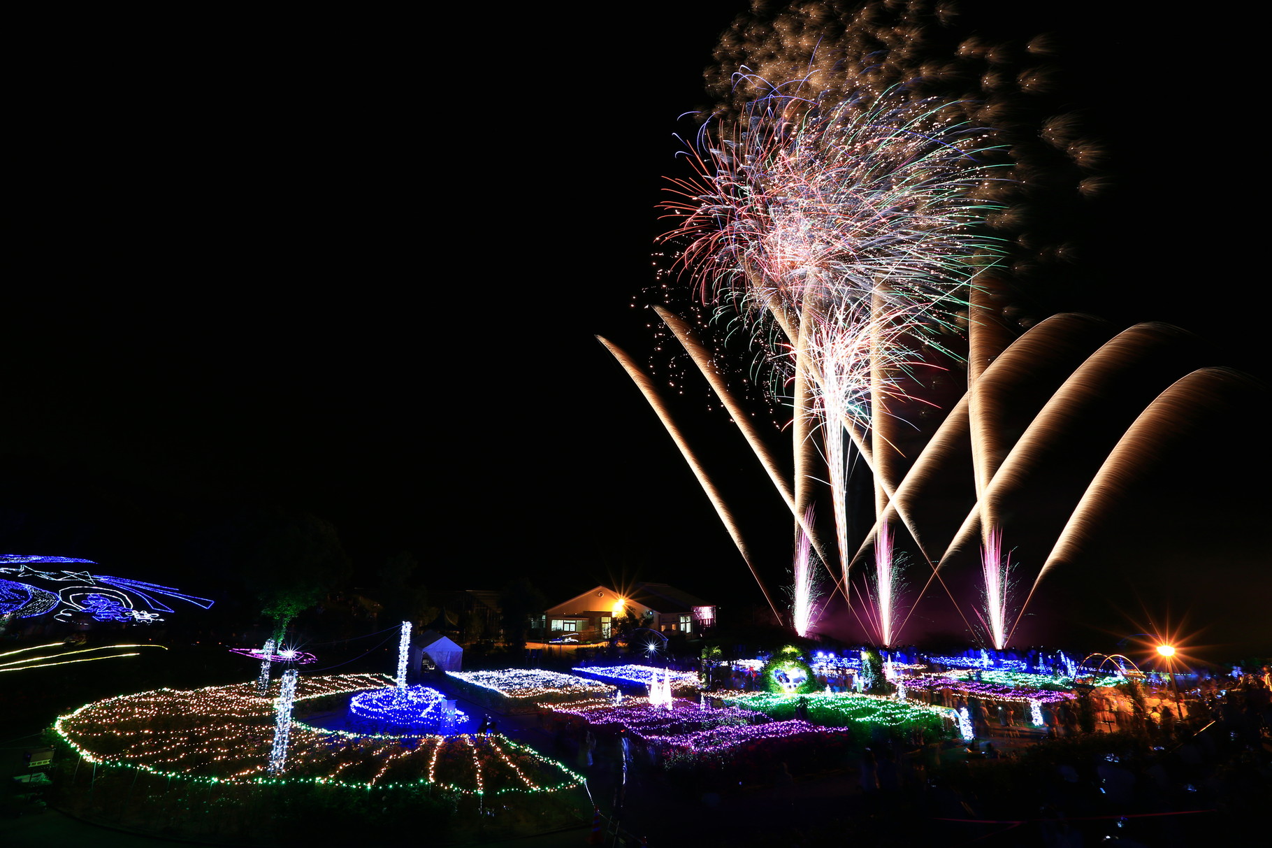 ファンタジーナイトの花火（鹿屋ばら園）