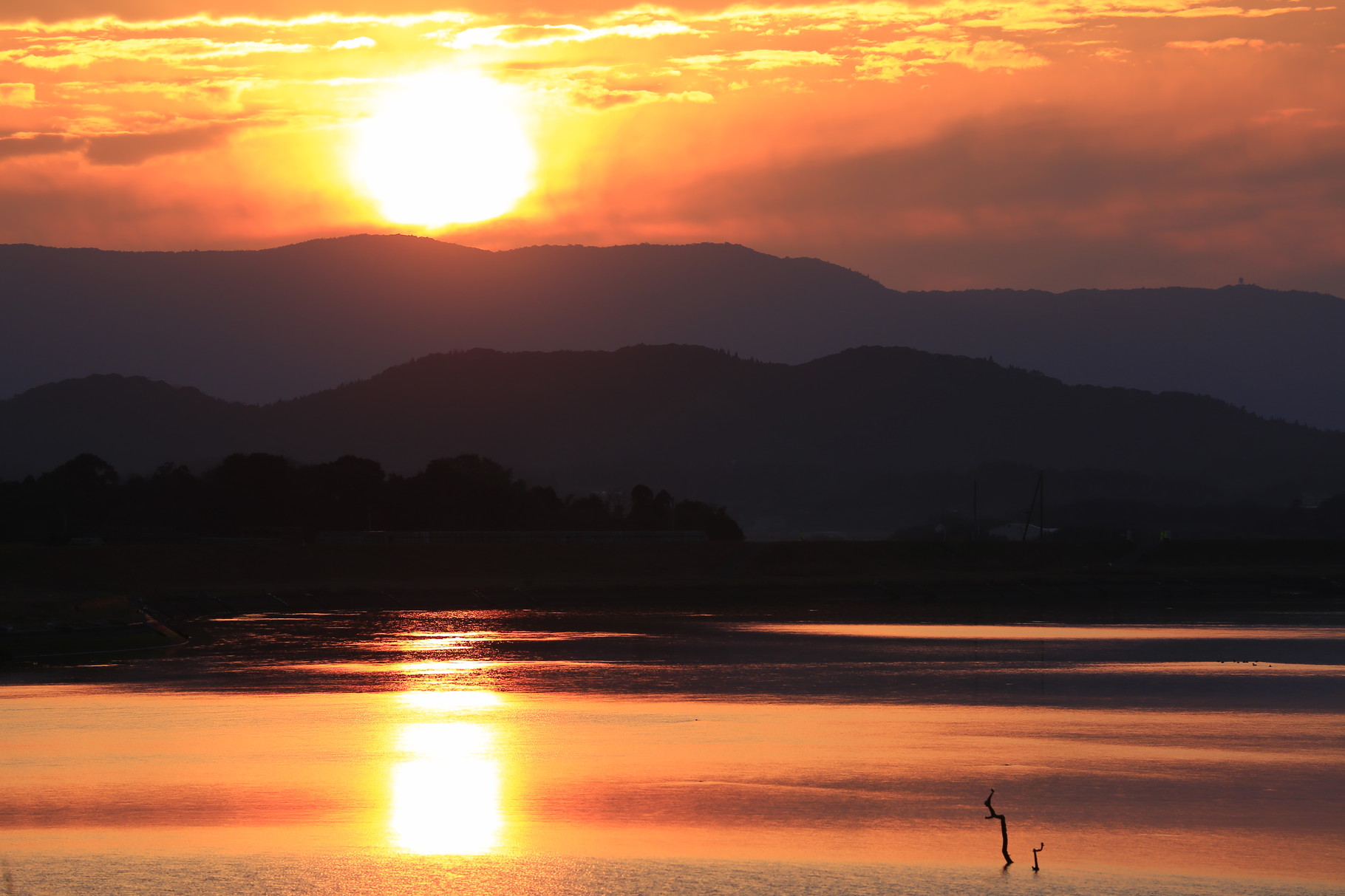 夕陽の光で辺りはオレンジ色の世界に（第二有明橋）