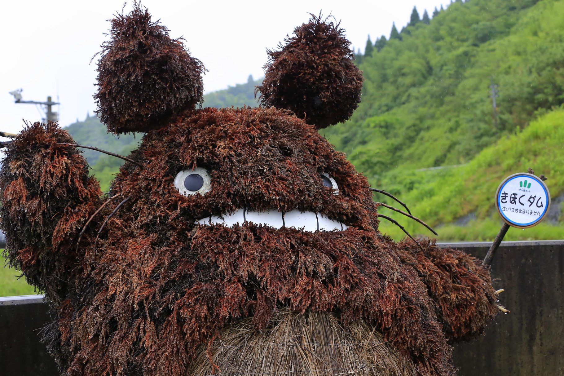 輝北ダムのトトロ