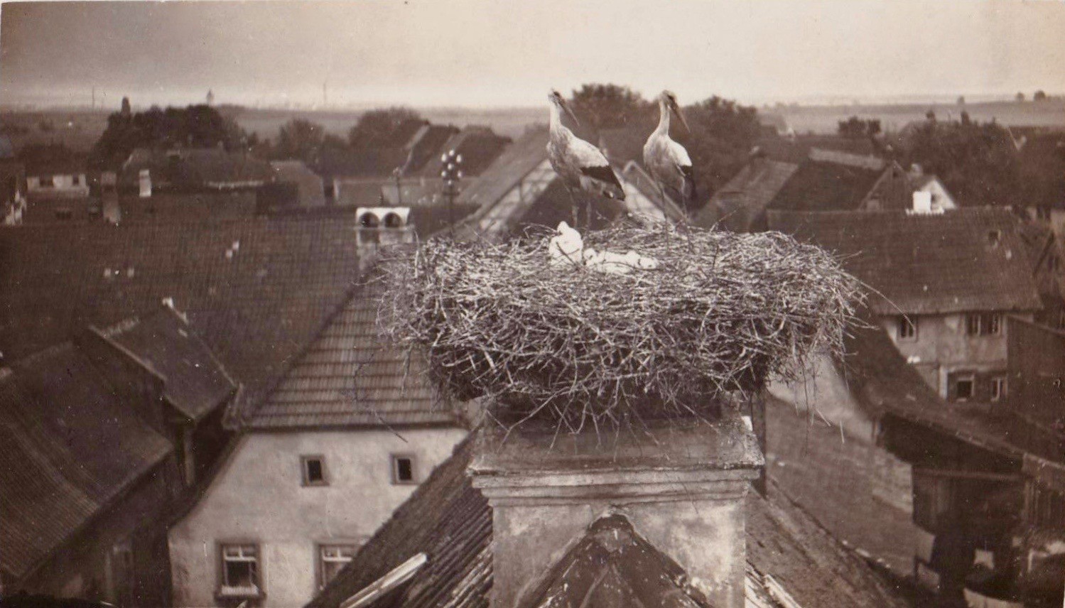Geldersheim Schweinfurtf  hrer Ein F  hrer durch Schweinfurt und