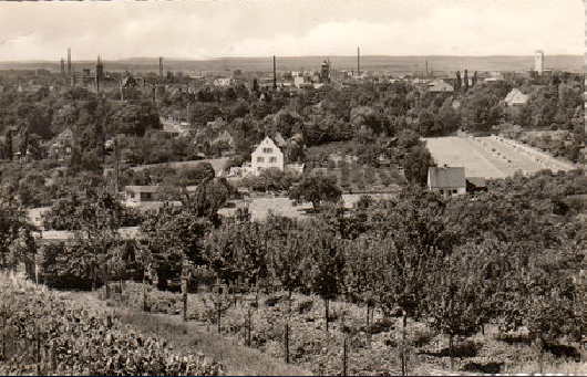 Blick von der Peterstirn in den 1950ern