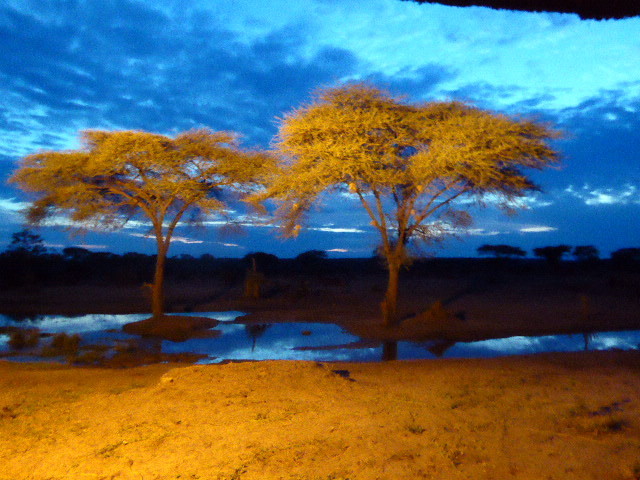 Le trou d'eau de Senyati Safari Camp au lever du soleil