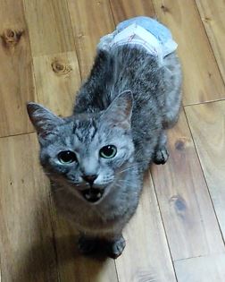 まりんちゃん