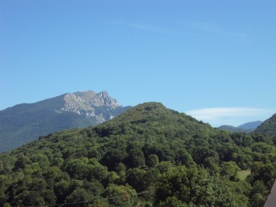 View from the site