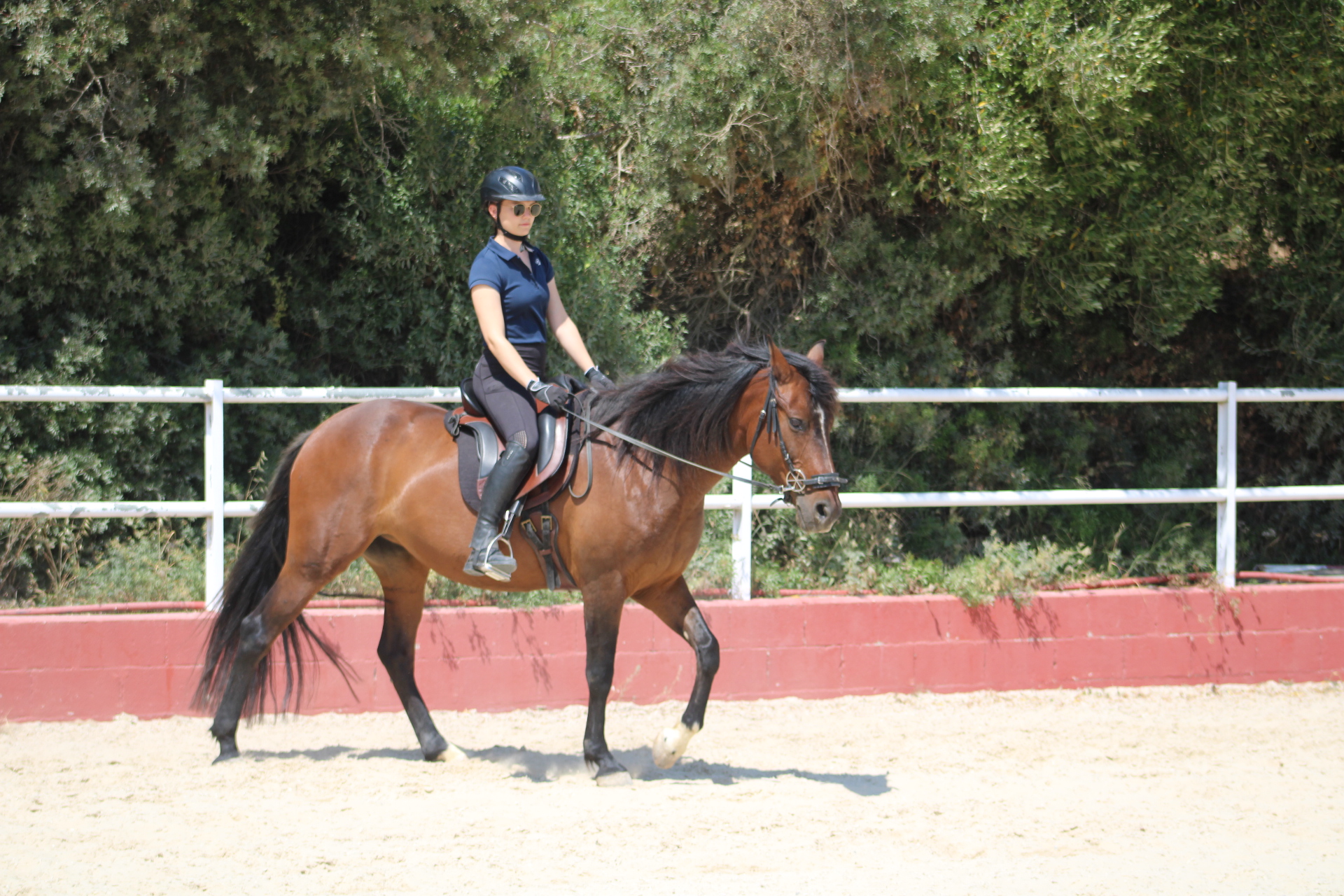 Feines Reiten mit dem LG-Zaum