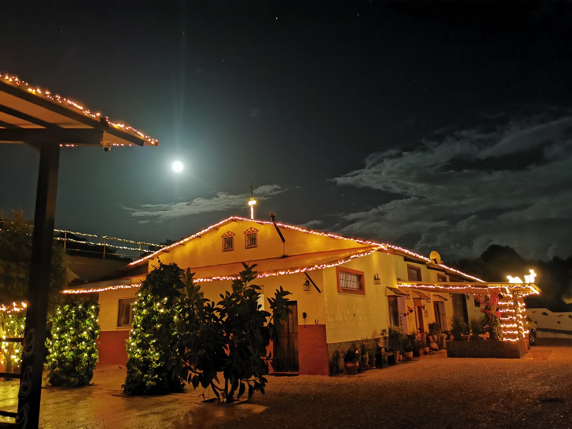 Weihnachten auf der Finca la Mimbre
