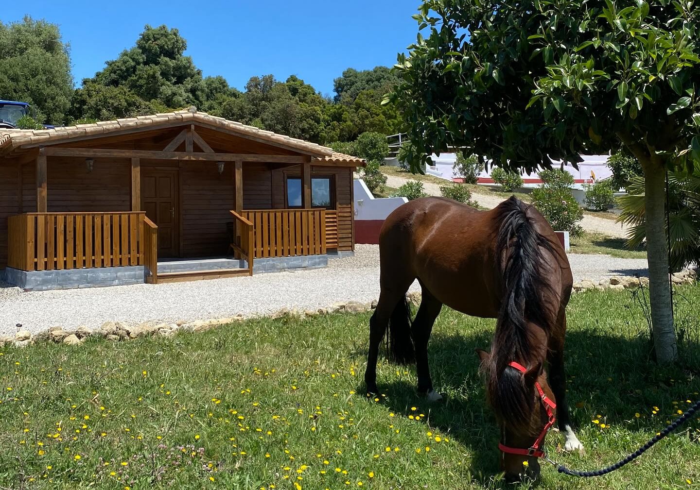 Aktuelles rund um unser Holzhaus Casa Calimera