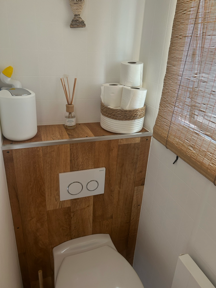 Toilette mit Waschbecken 