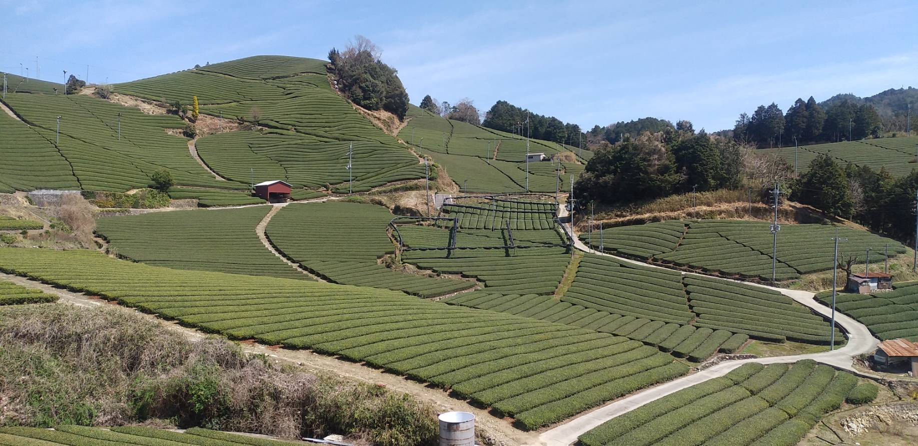 和束町と平等院