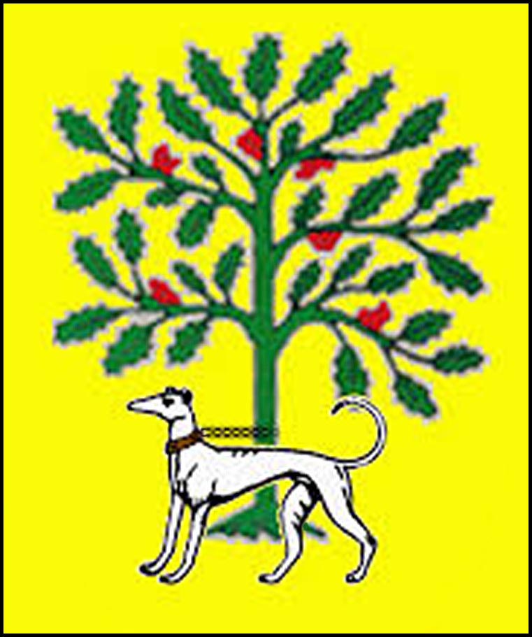 Escudo de los Acevedos.