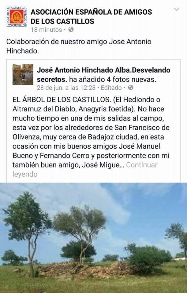 Publicado por la Asociación Española de Amigos de los Castillos. 