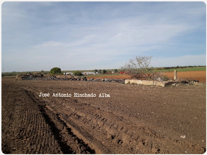 Noria, acequia y primera alberca.