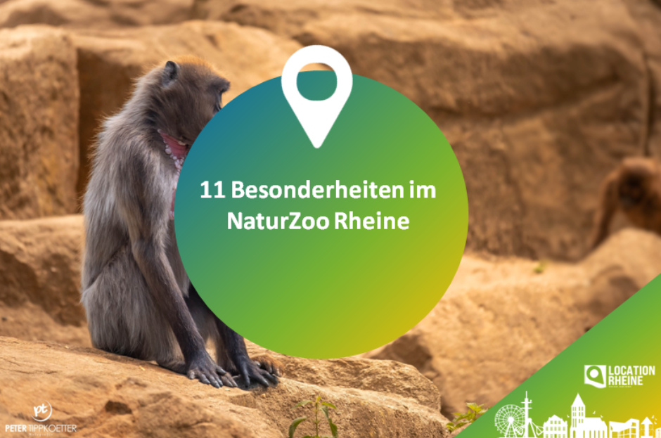 11 Besonderheiten im NaturZoo Rheine