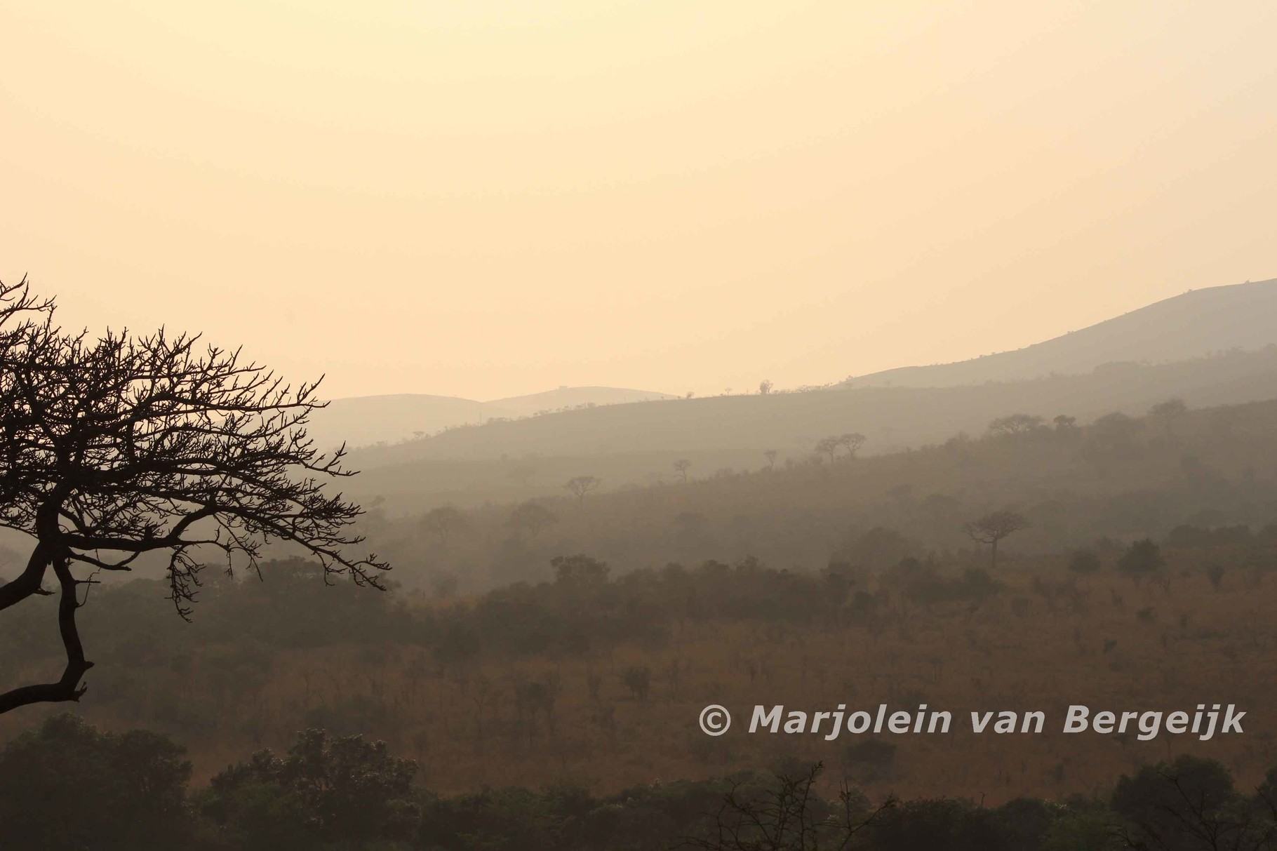 Hluhluwe National Park, Zuid Afrika