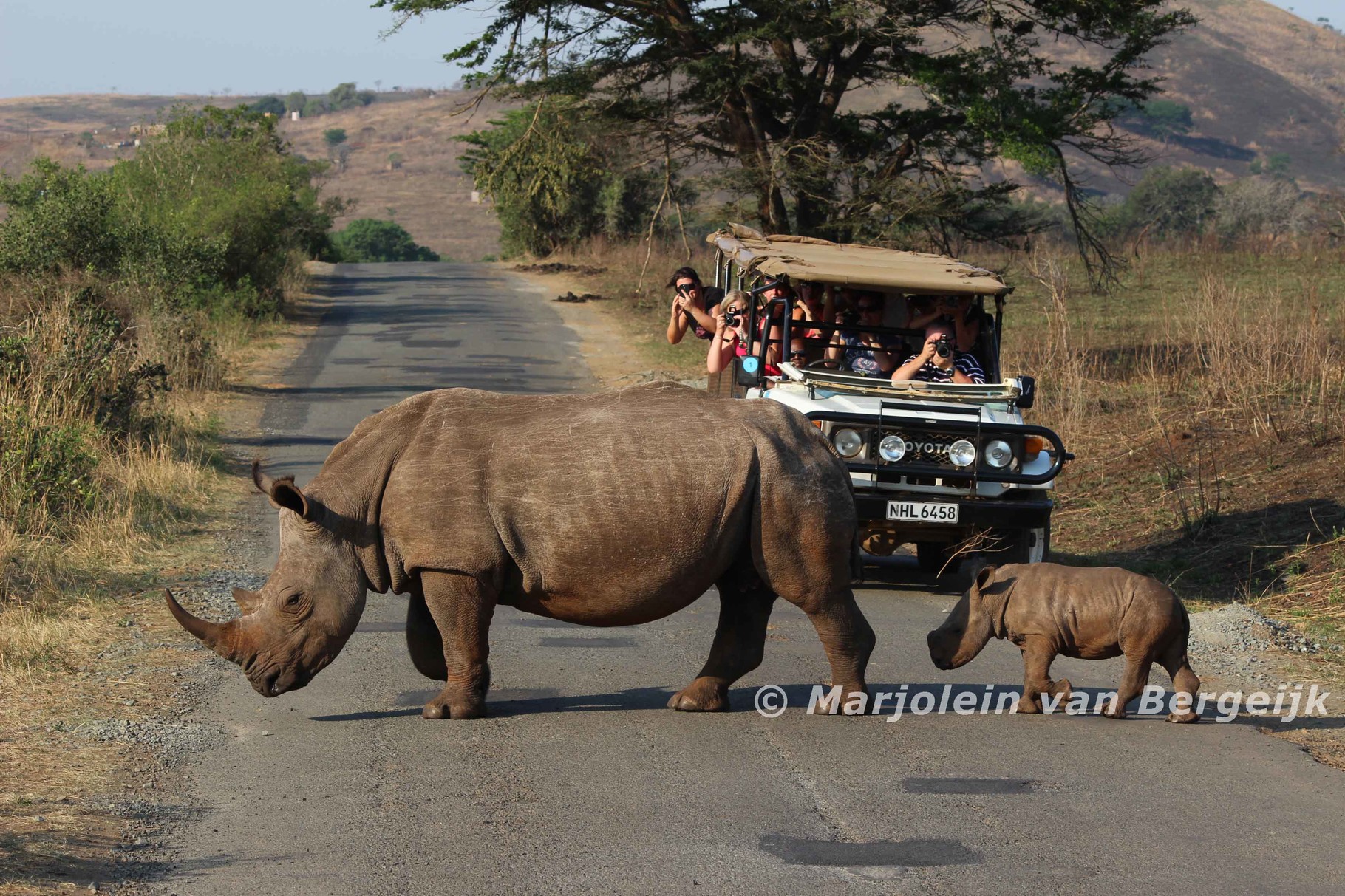 Hluhluwe National Park, Zuid Afrika