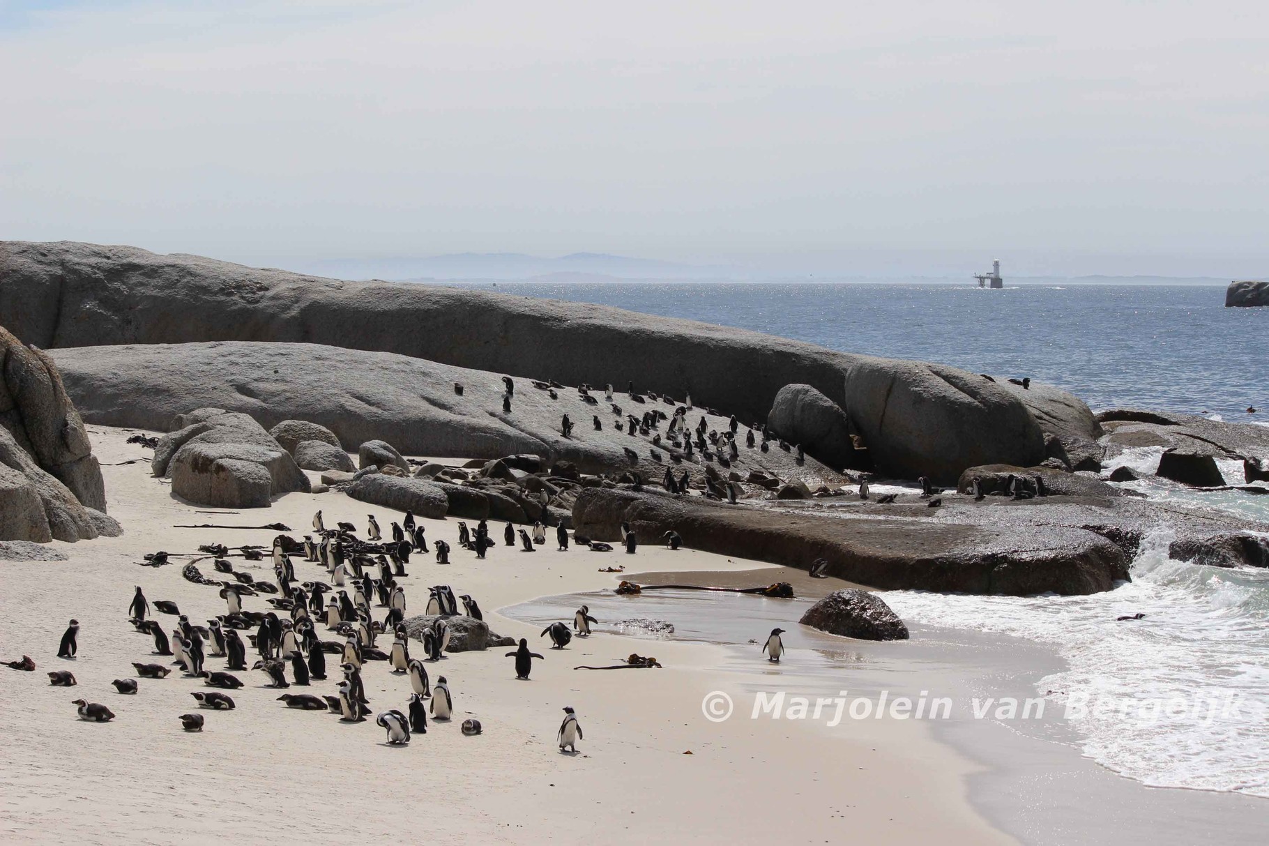 Boulders Beach