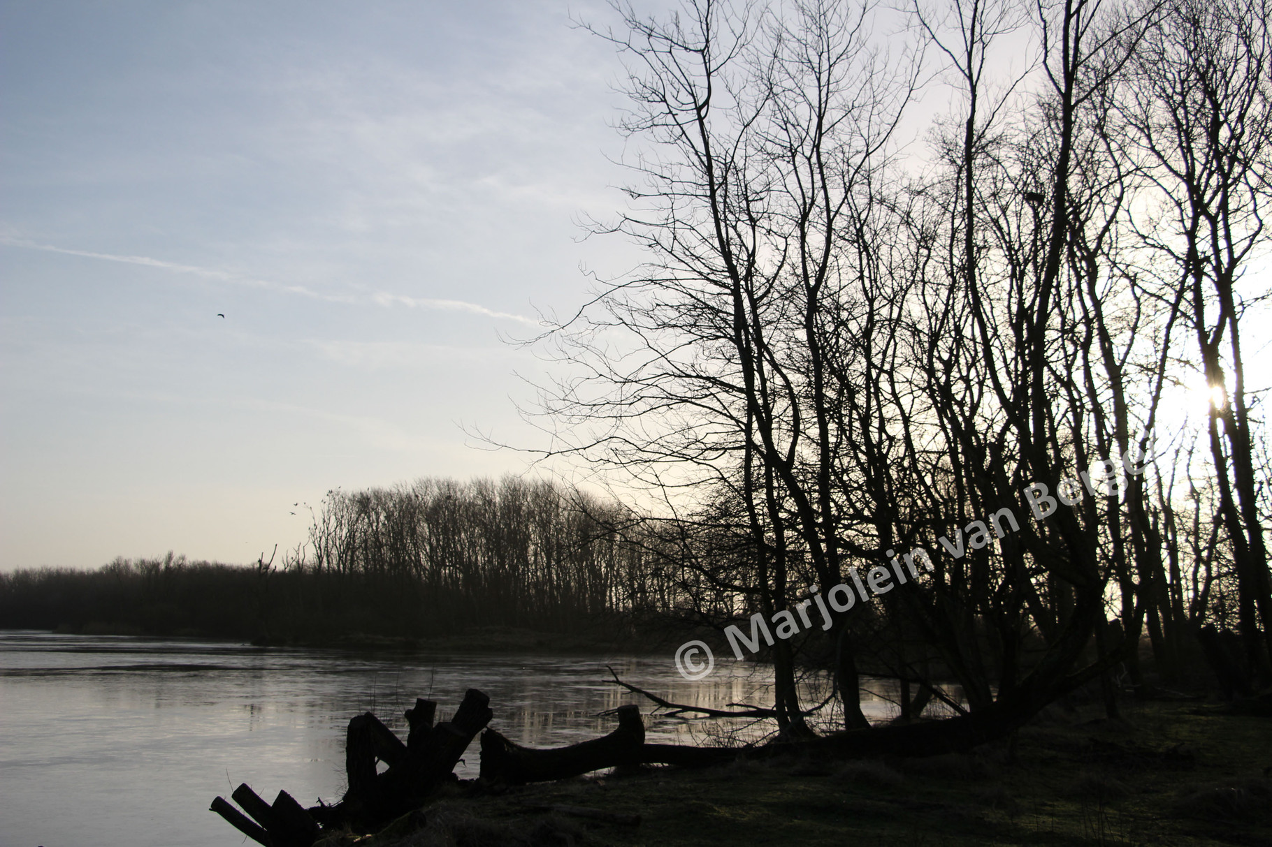 Nederlandse Waterleidingduinen