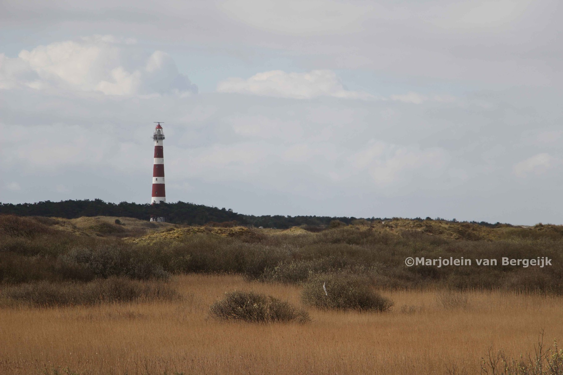 Ameland