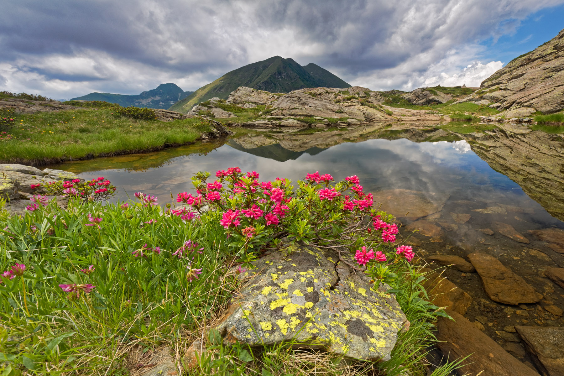 Alpe Scaredi - Nationalpark Valgrande 
