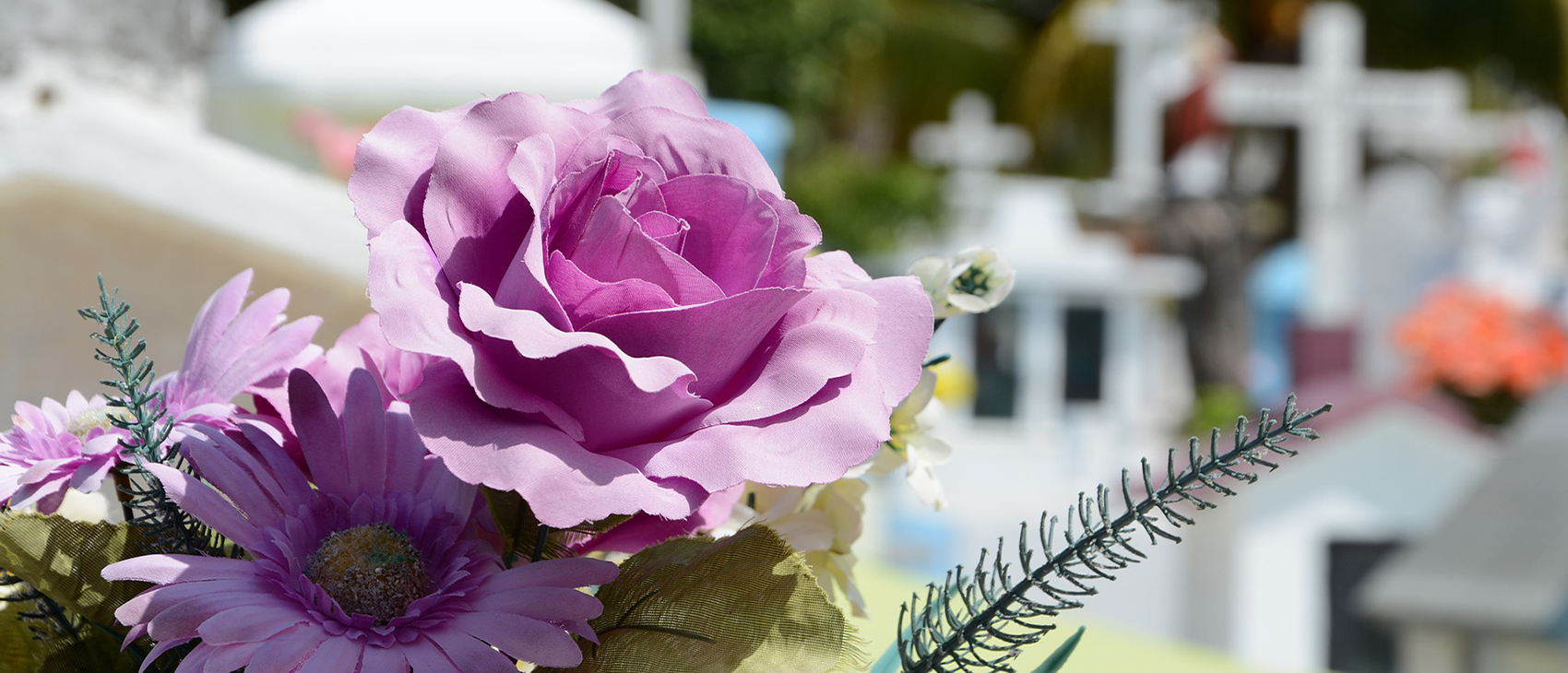 Entretien et fleurissement de tombes La Rose des Vents Ambon