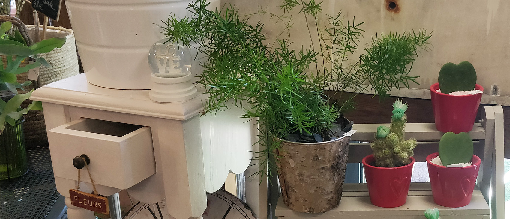 Des plantes et de la déco !