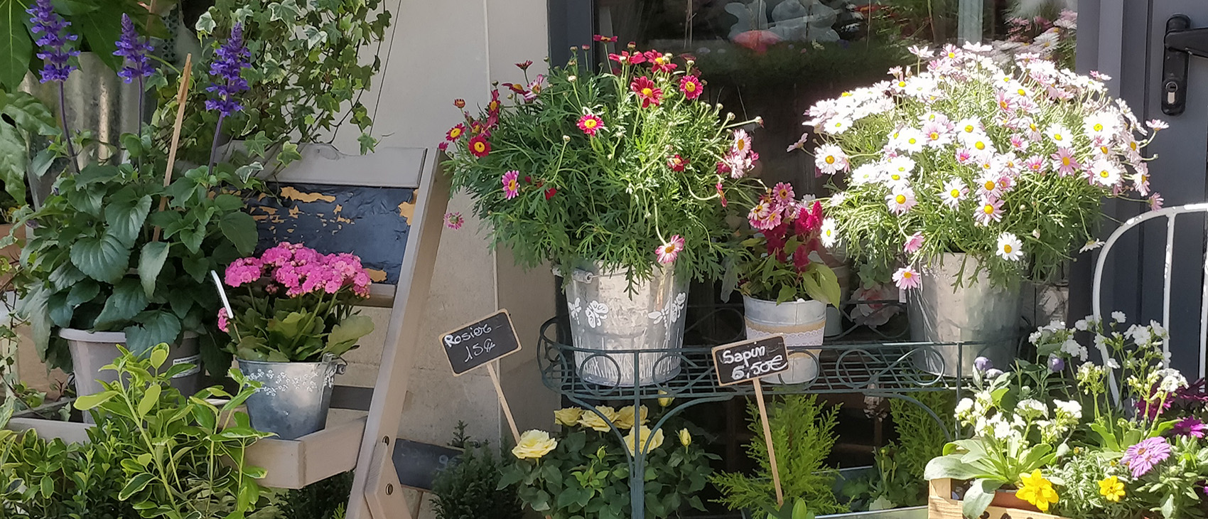 Abonnements floraux La Rose des Vents